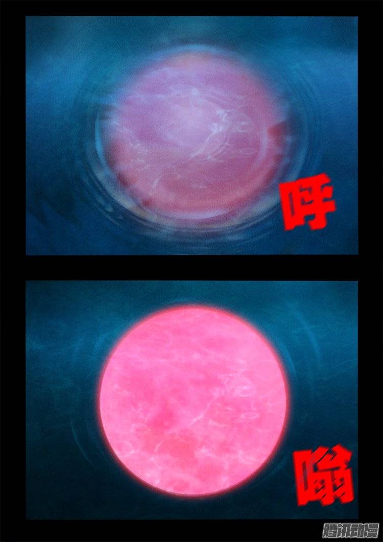 鹦鹉大厦 2516