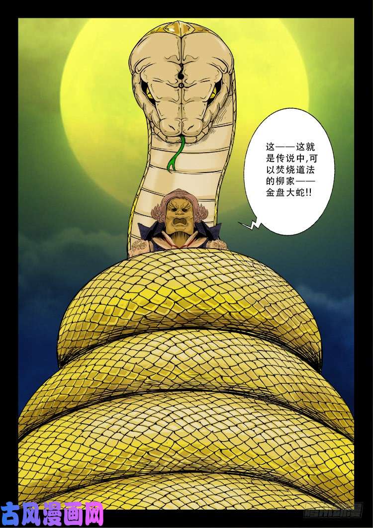 柳震山 024