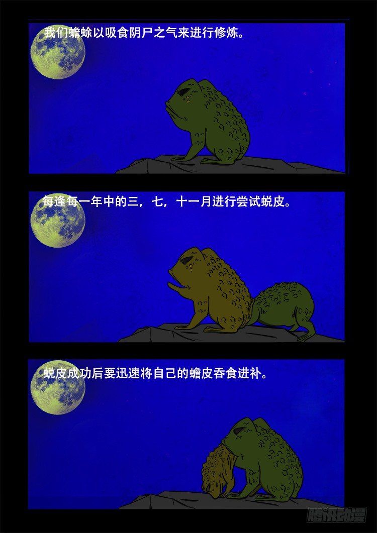 阴老爷 244