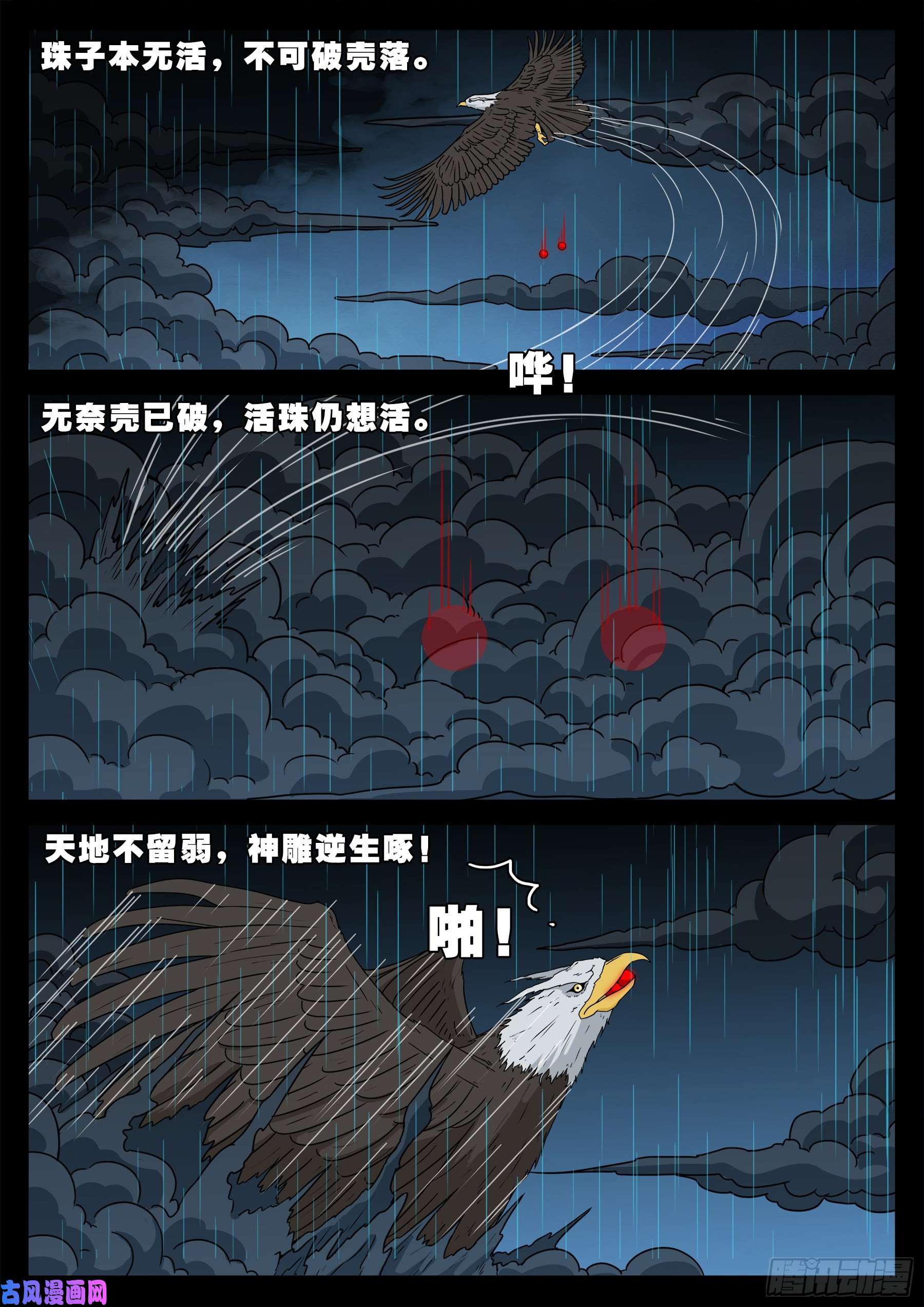 活珠子 0210