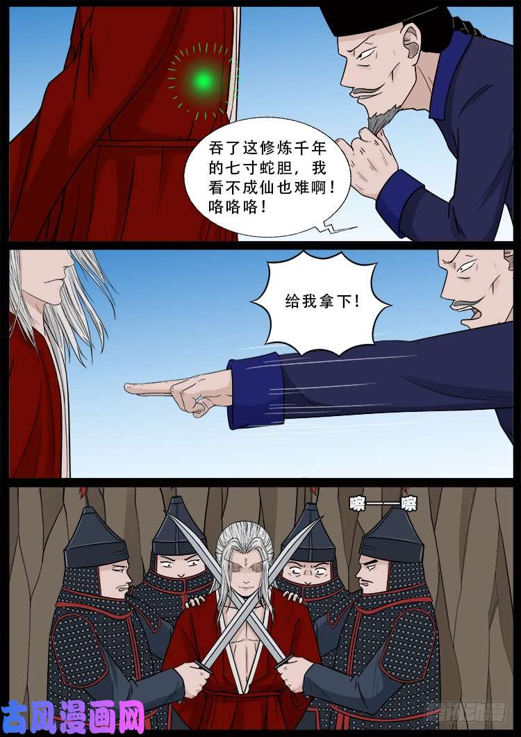 小七寸 028