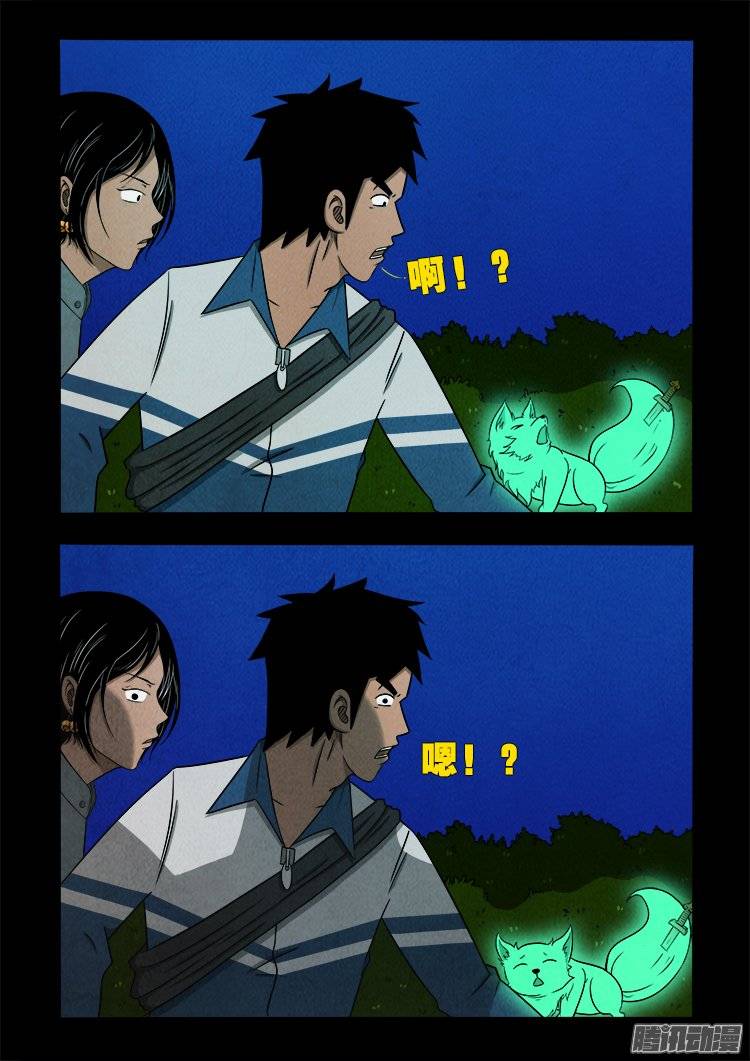 鹦鹉大厦 024