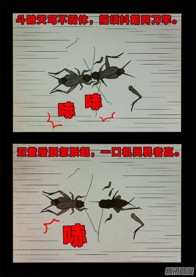 鹦鹉大厦 224