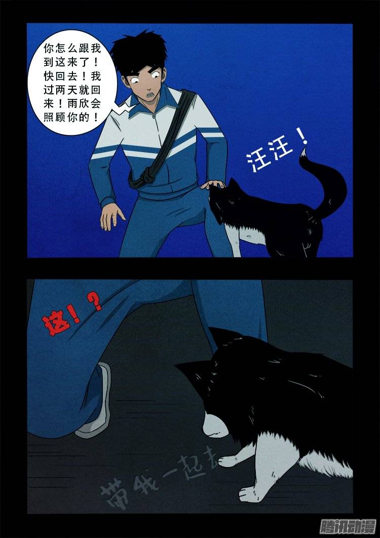 鹦鹉大厦 012