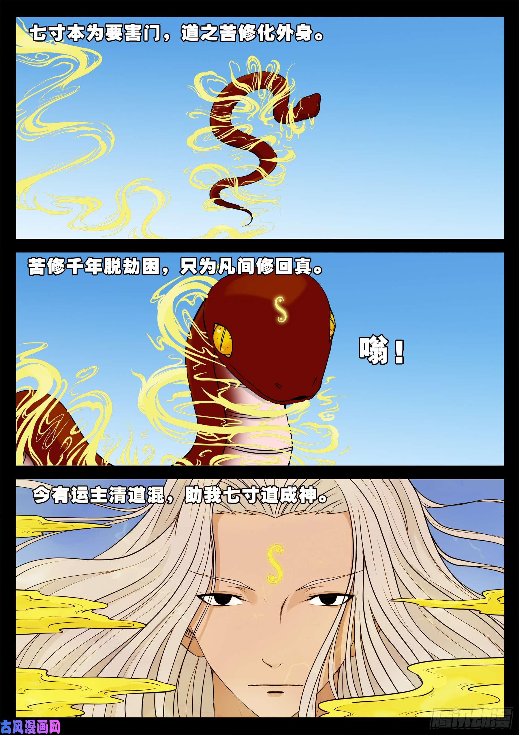 小七寸 0317