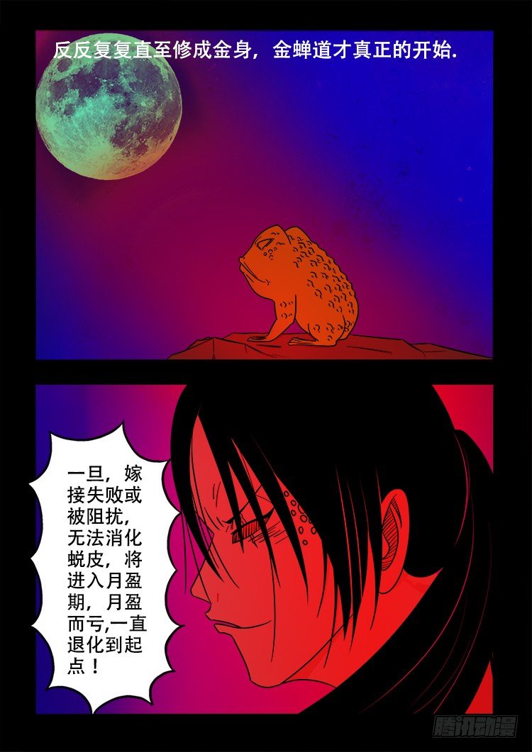 阴老爷 246