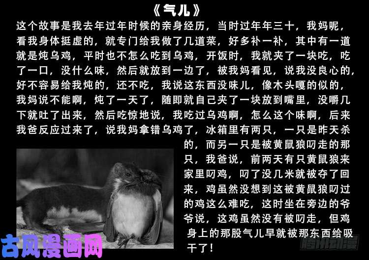 道身血 0123