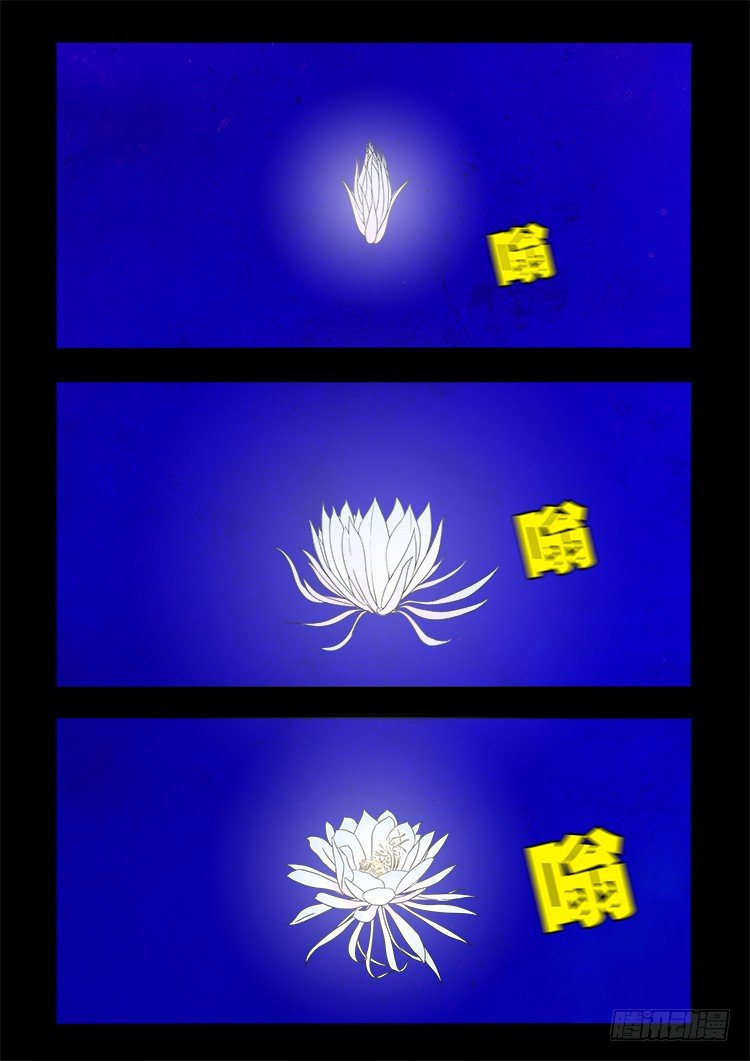黑白红跳紫 127