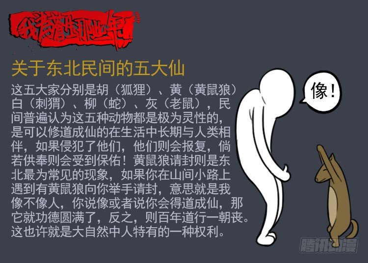 诡面妖根 1113