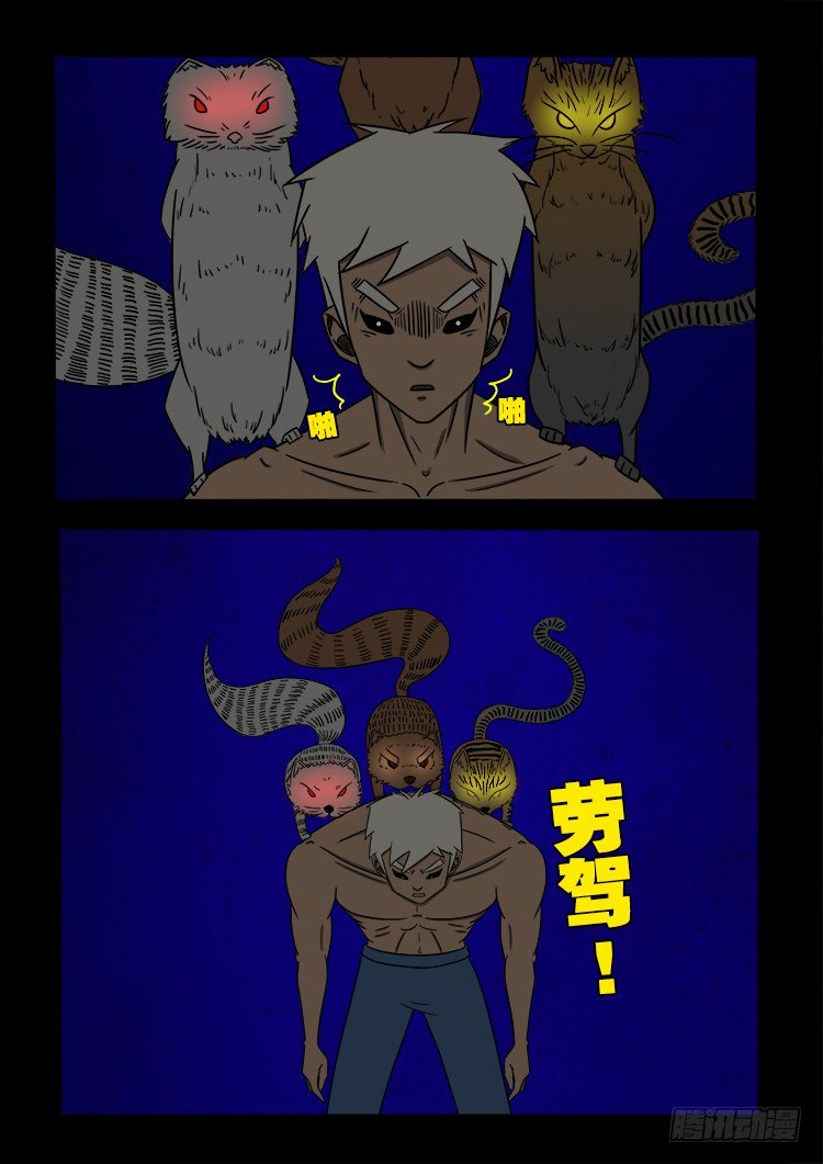 阴老爷 219