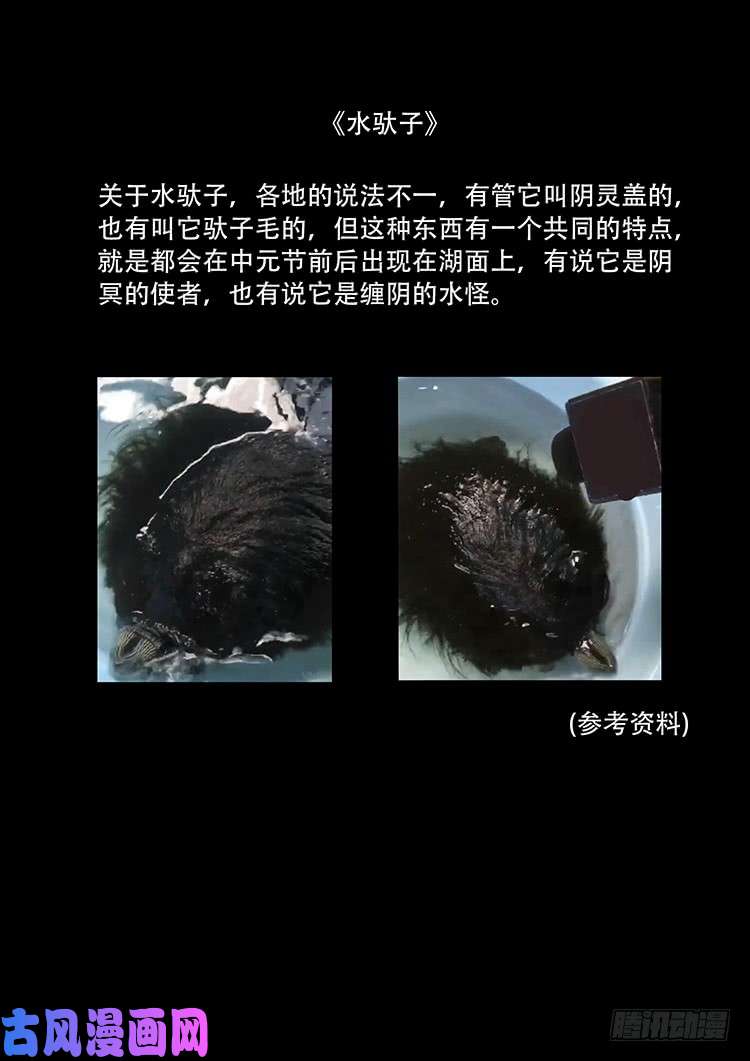 水驮子 0124