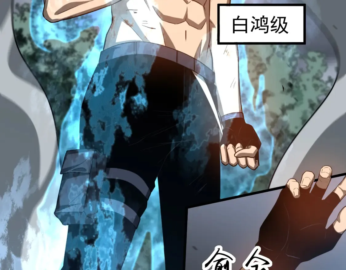 第141话 突破！白鸿级！118