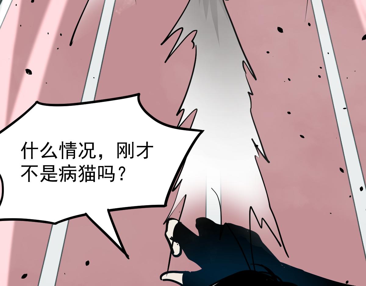 029话 特招—速度测试79