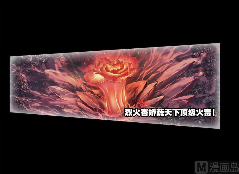 第241话 森罗万象（1）2