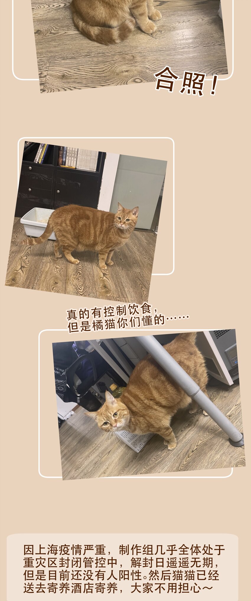 118 我可以！29