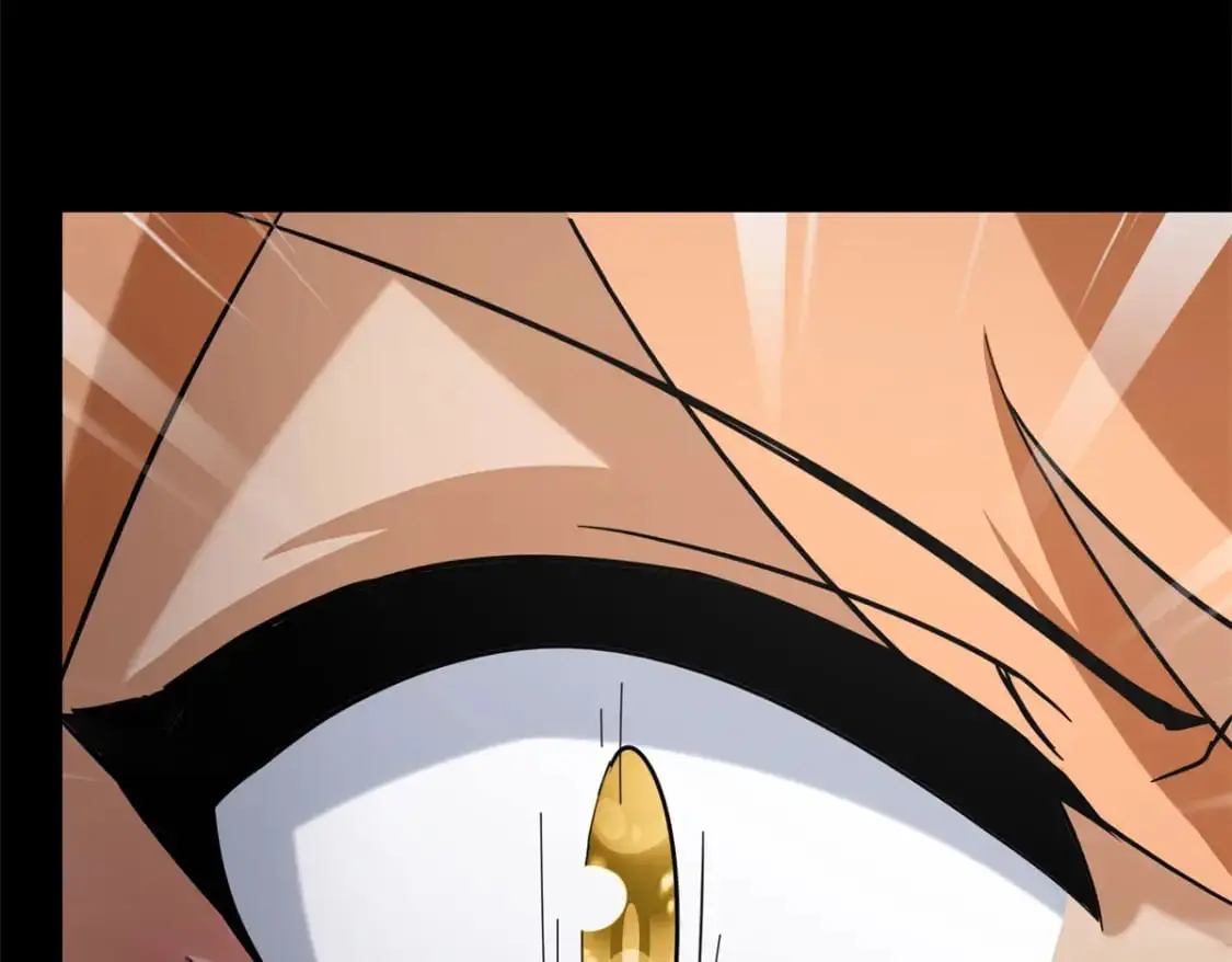 49238