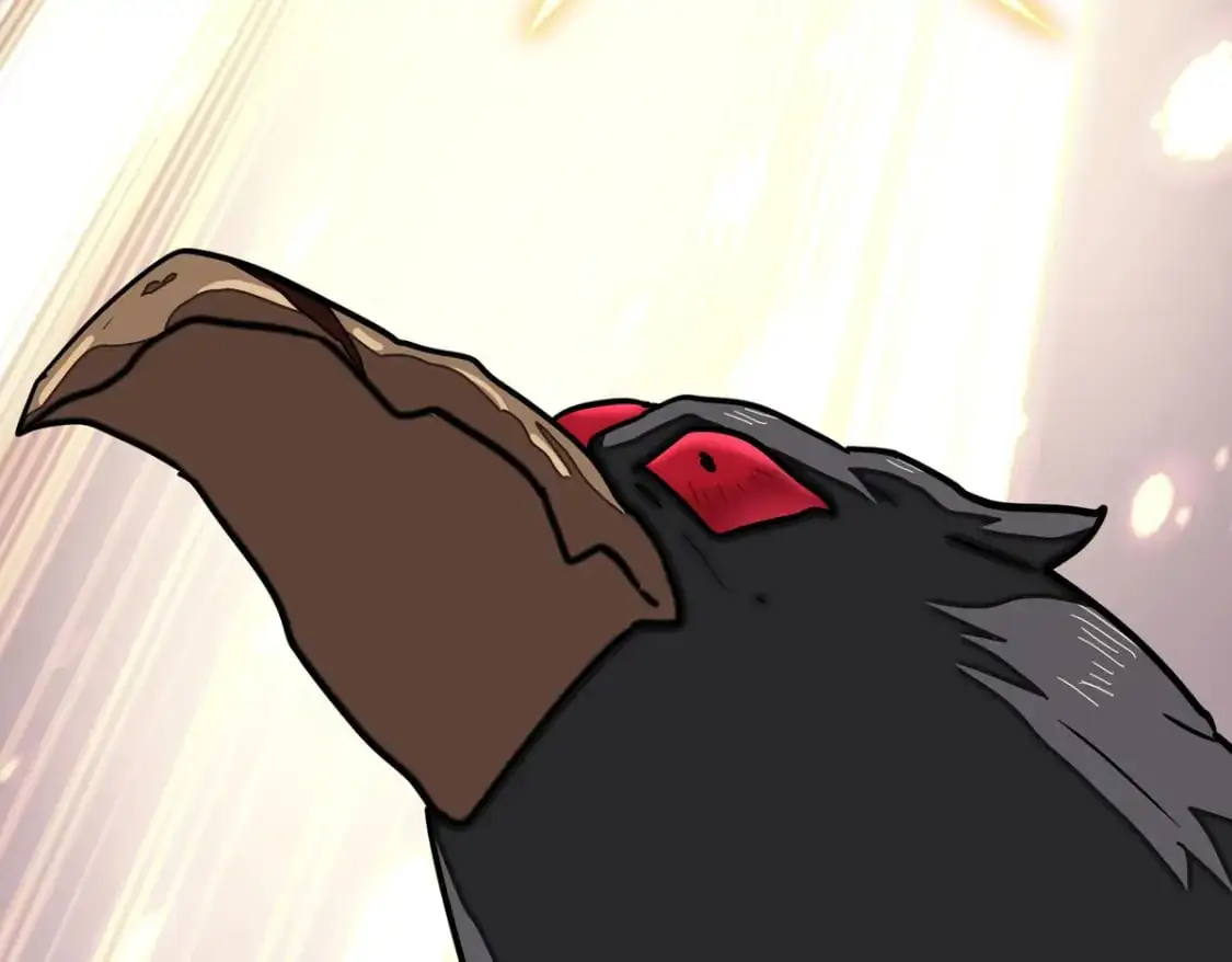 49797