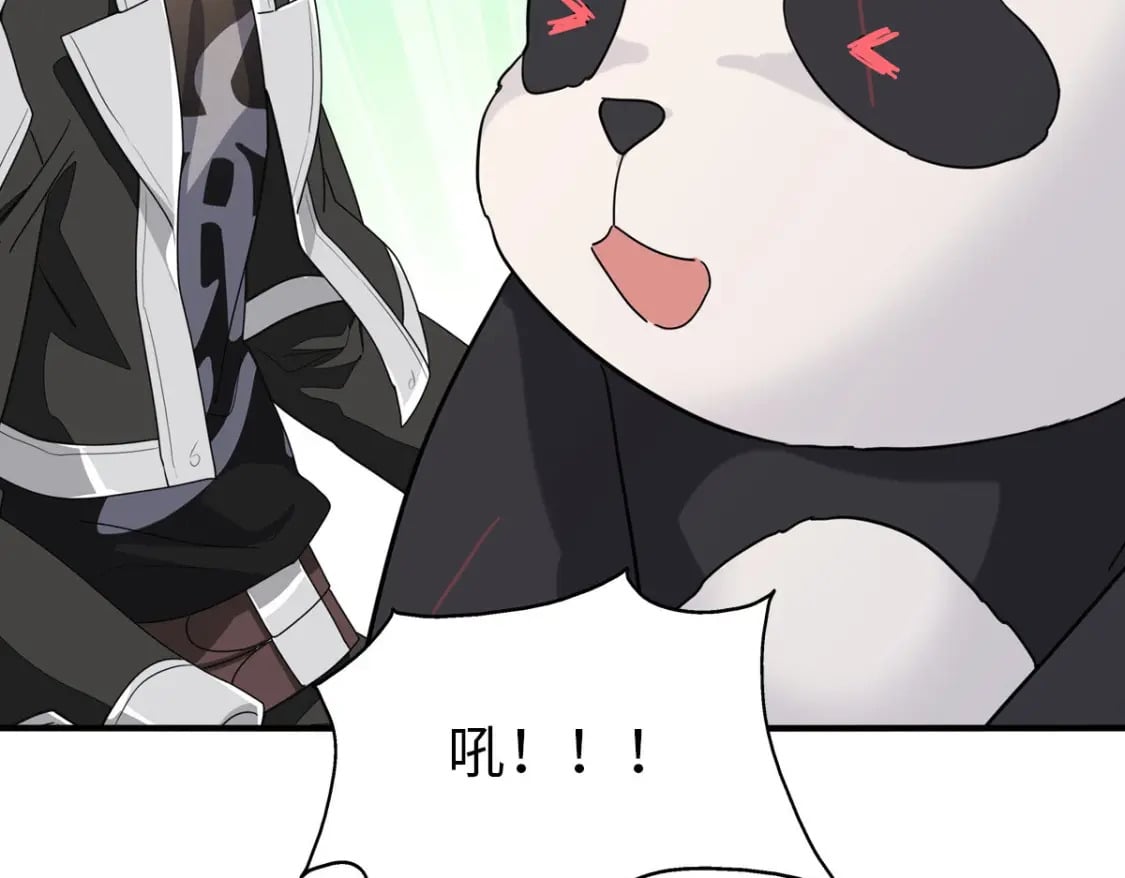 426127