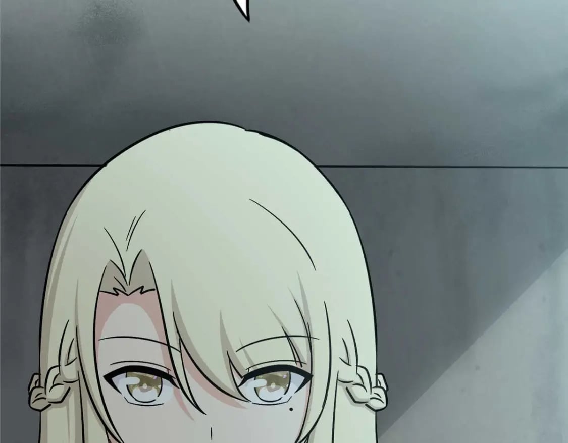 41586