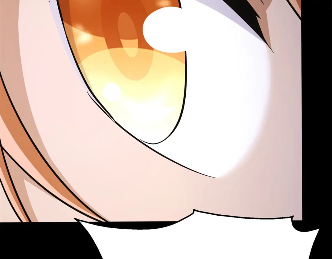45592