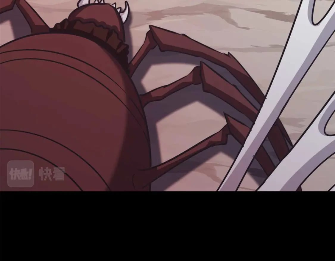 40816