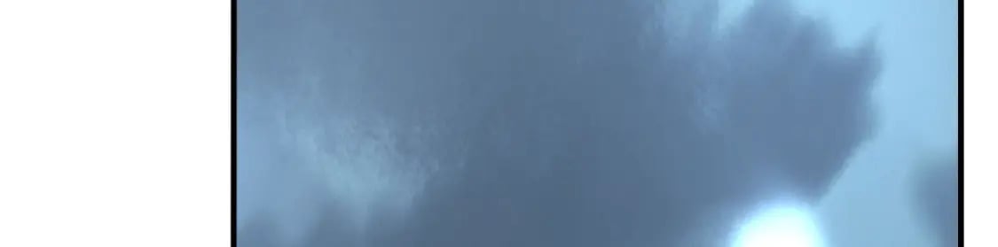44041