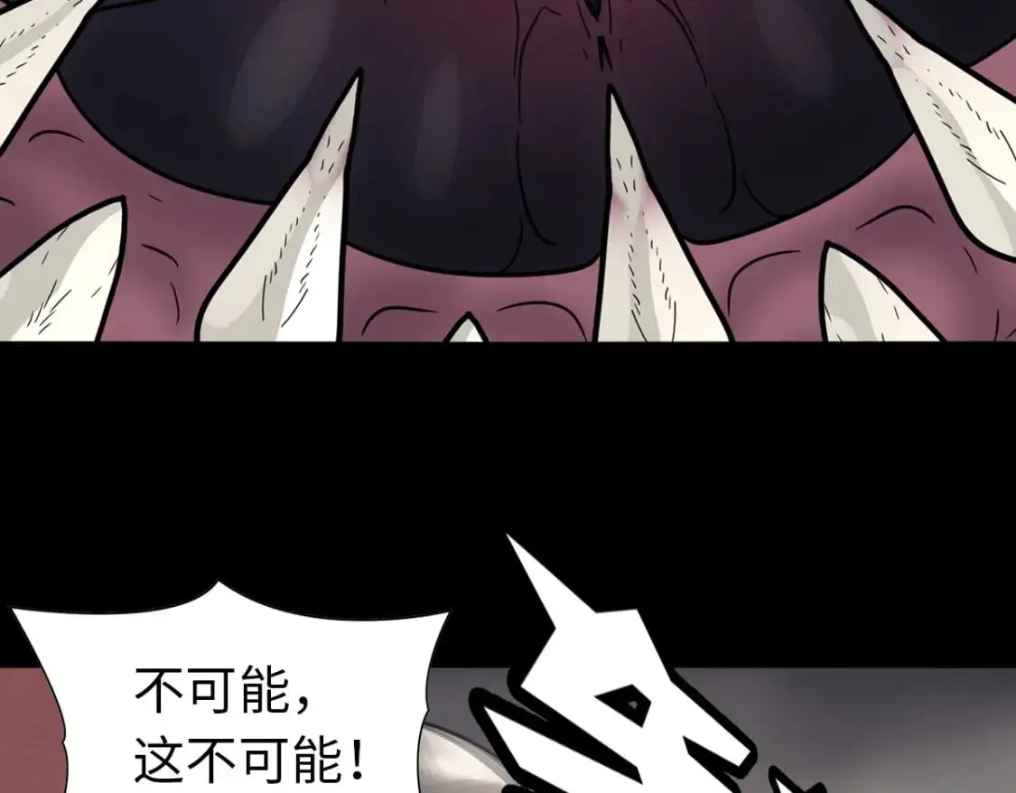 49548