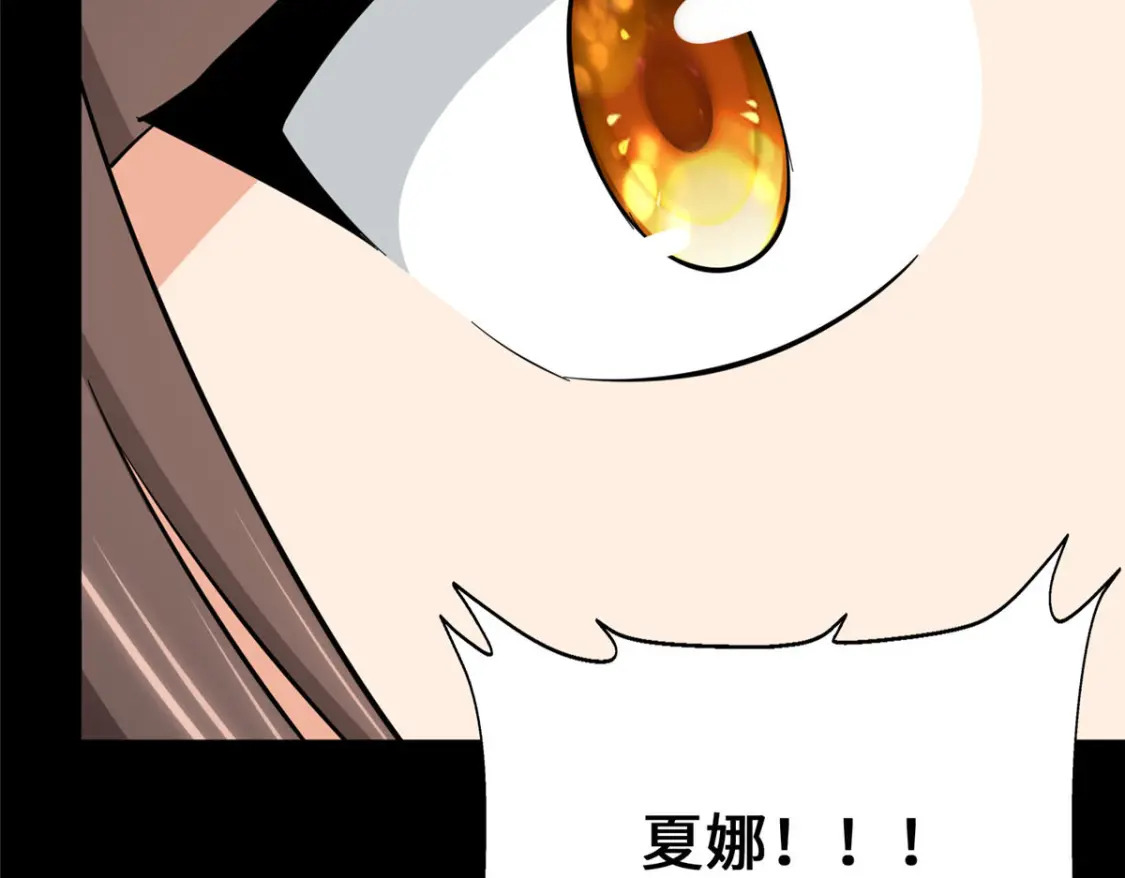 4017