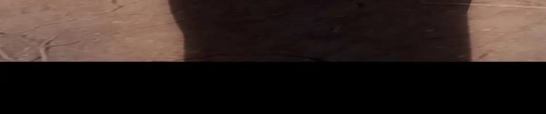 472119