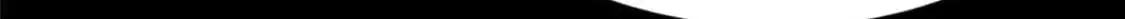 48838