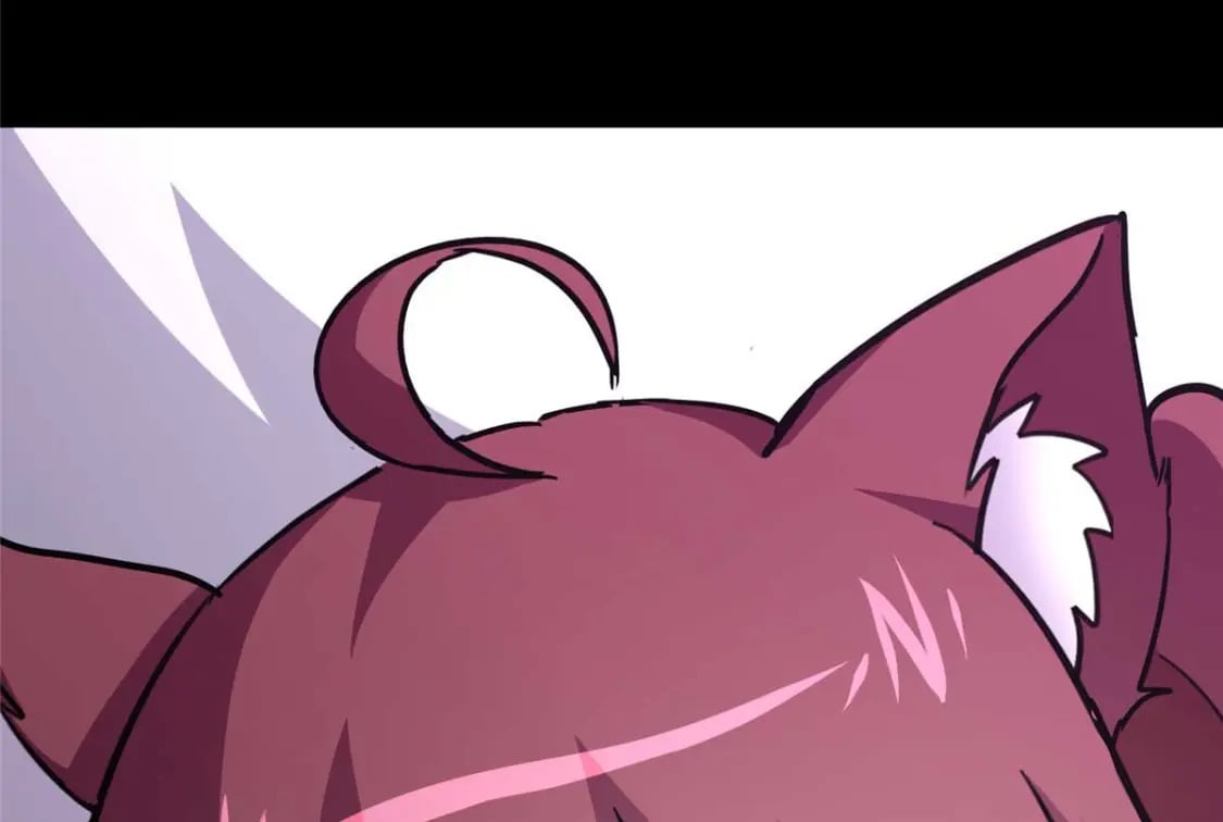 41635