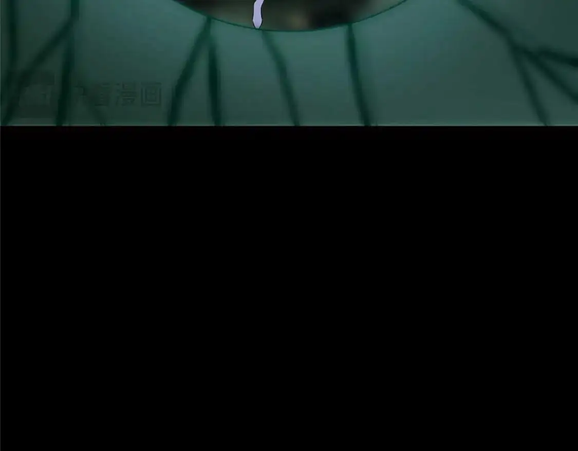 48955