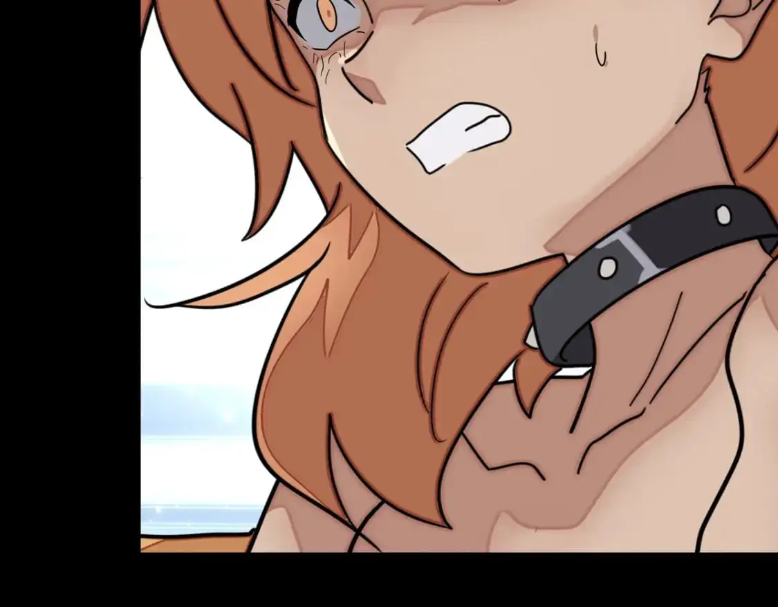 48646