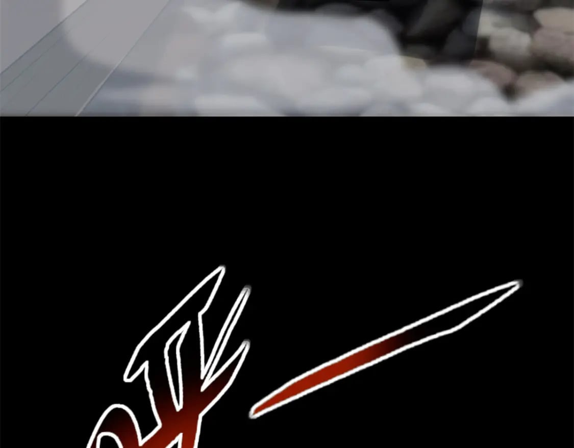 47798