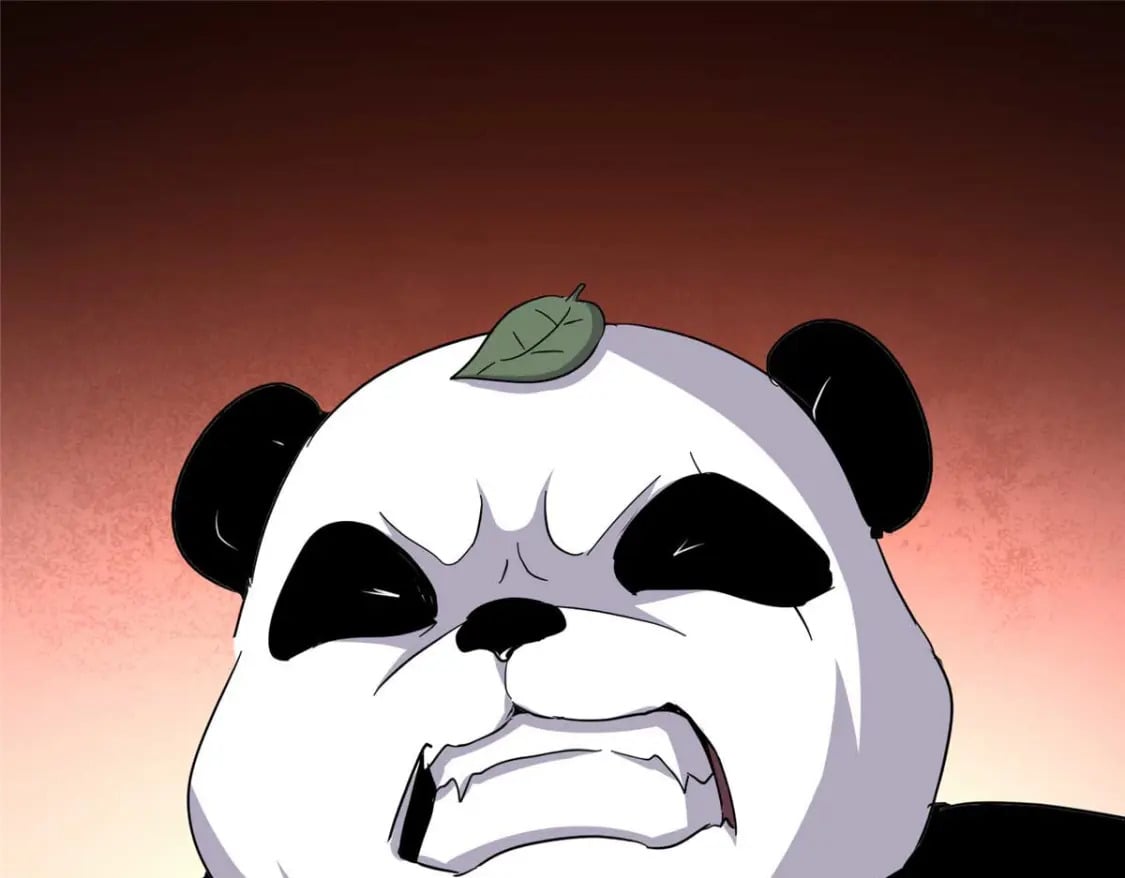 41614