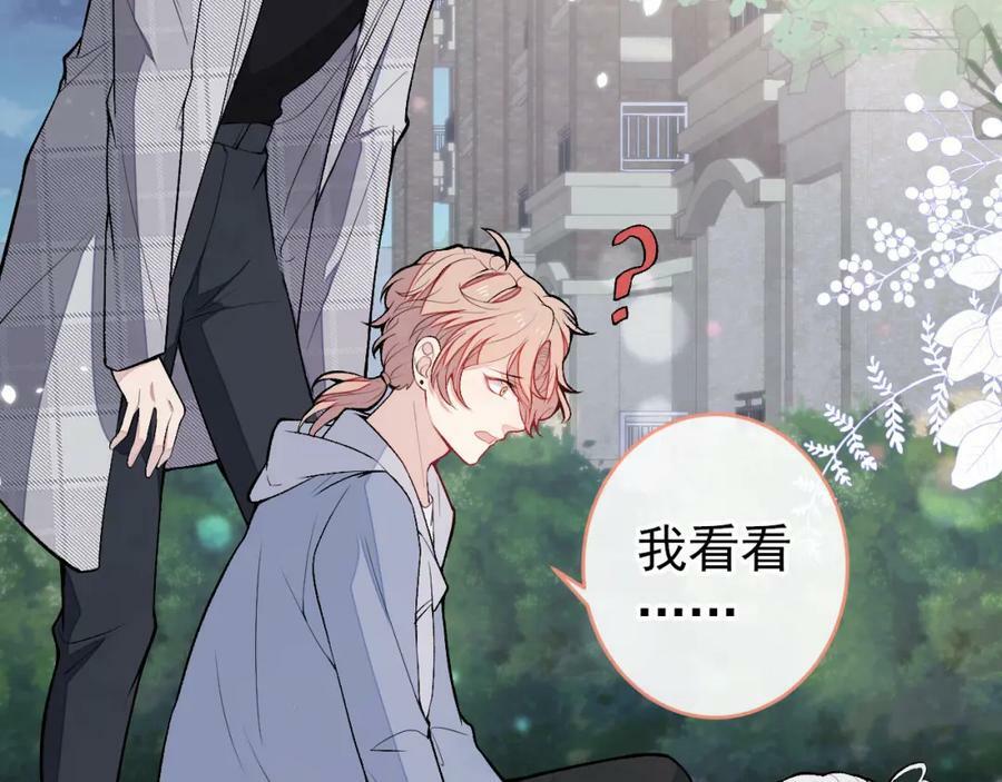 养娃篇06 你要养他？！34