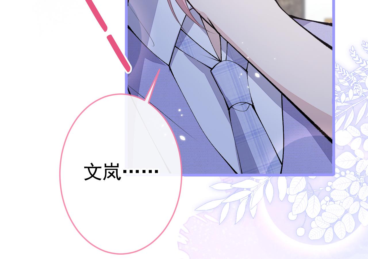 番外8-薇薇文岚篇·中104