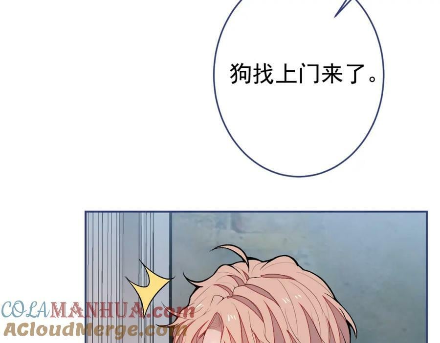 养娃篇10 狗找上门了？8
