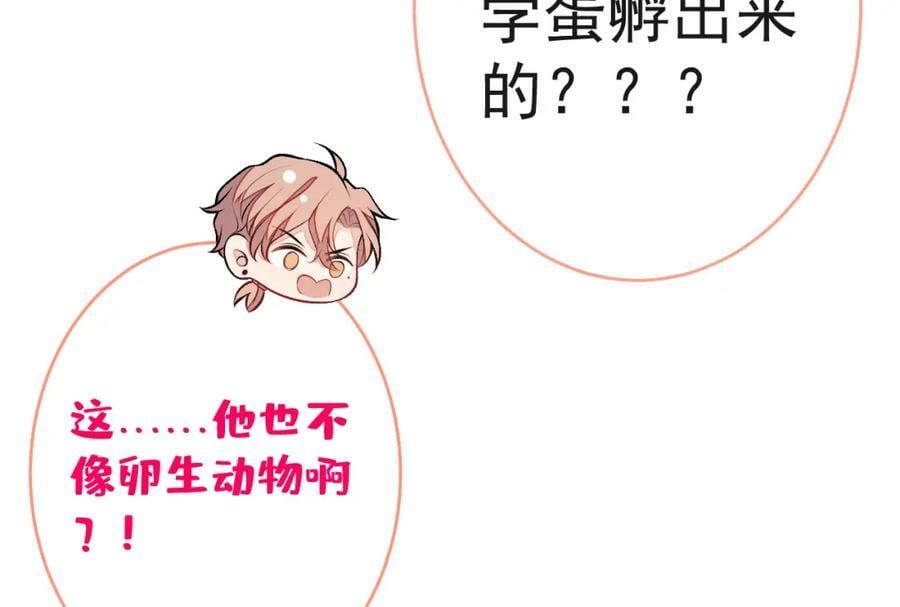 养娃篇02 蛋怎么破了？85