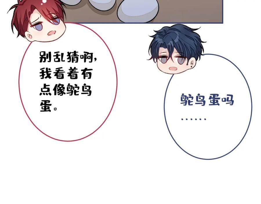 养娃篇01 这蛋，是怎么回事？74