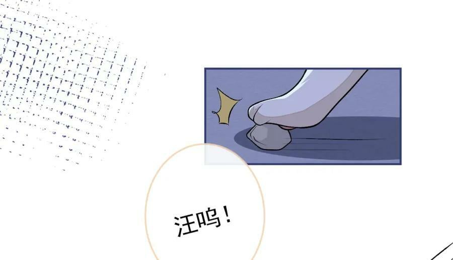 养娃篇06 你要养他？！18