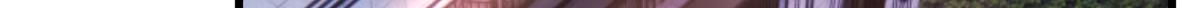 105 酒后不能打赌7