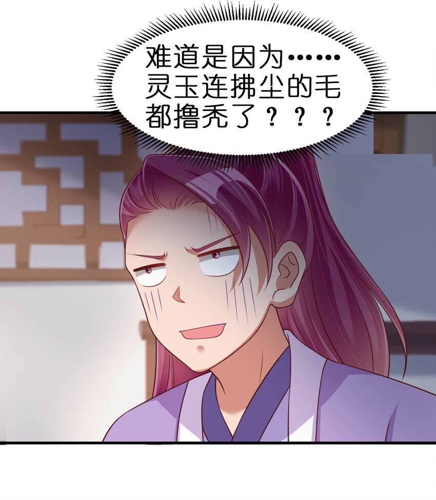 071 毛绒控的世界28