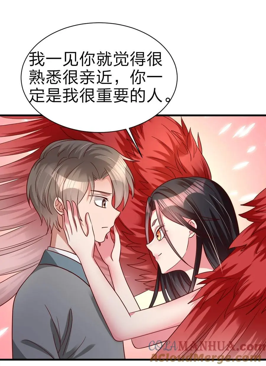 164 朱雀神君陵光？33