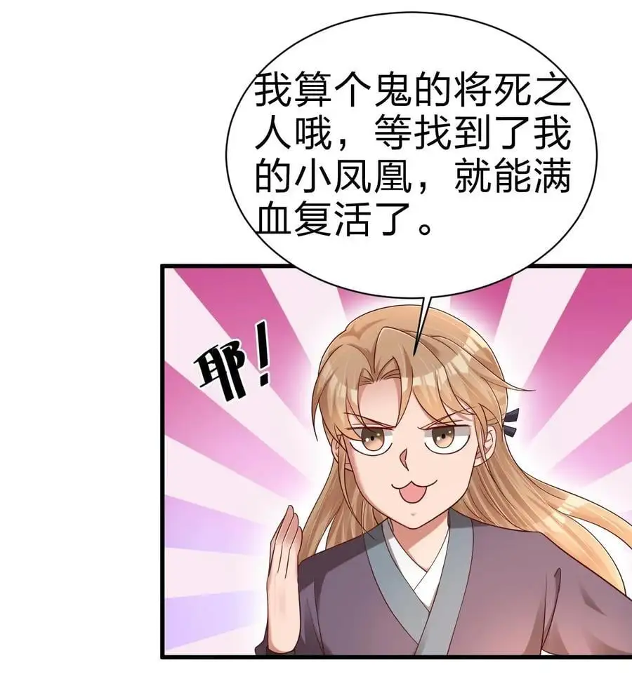 164 朱雀神君陵光？8