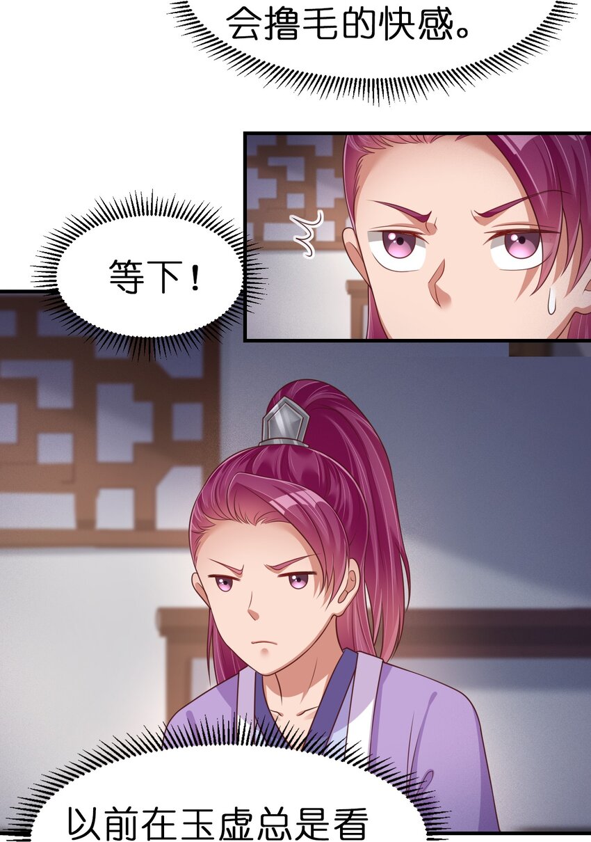 071 毛绒控的世界26
