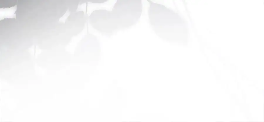 第111话 解开心结206
