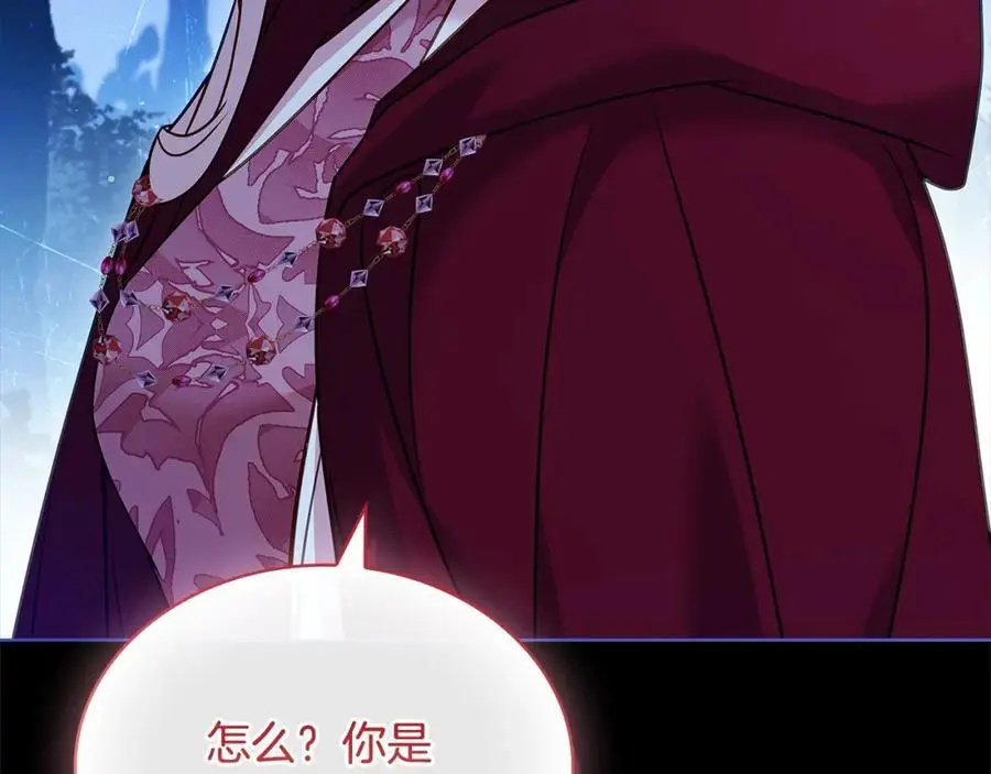 第114话 斯贝是元凶？！242