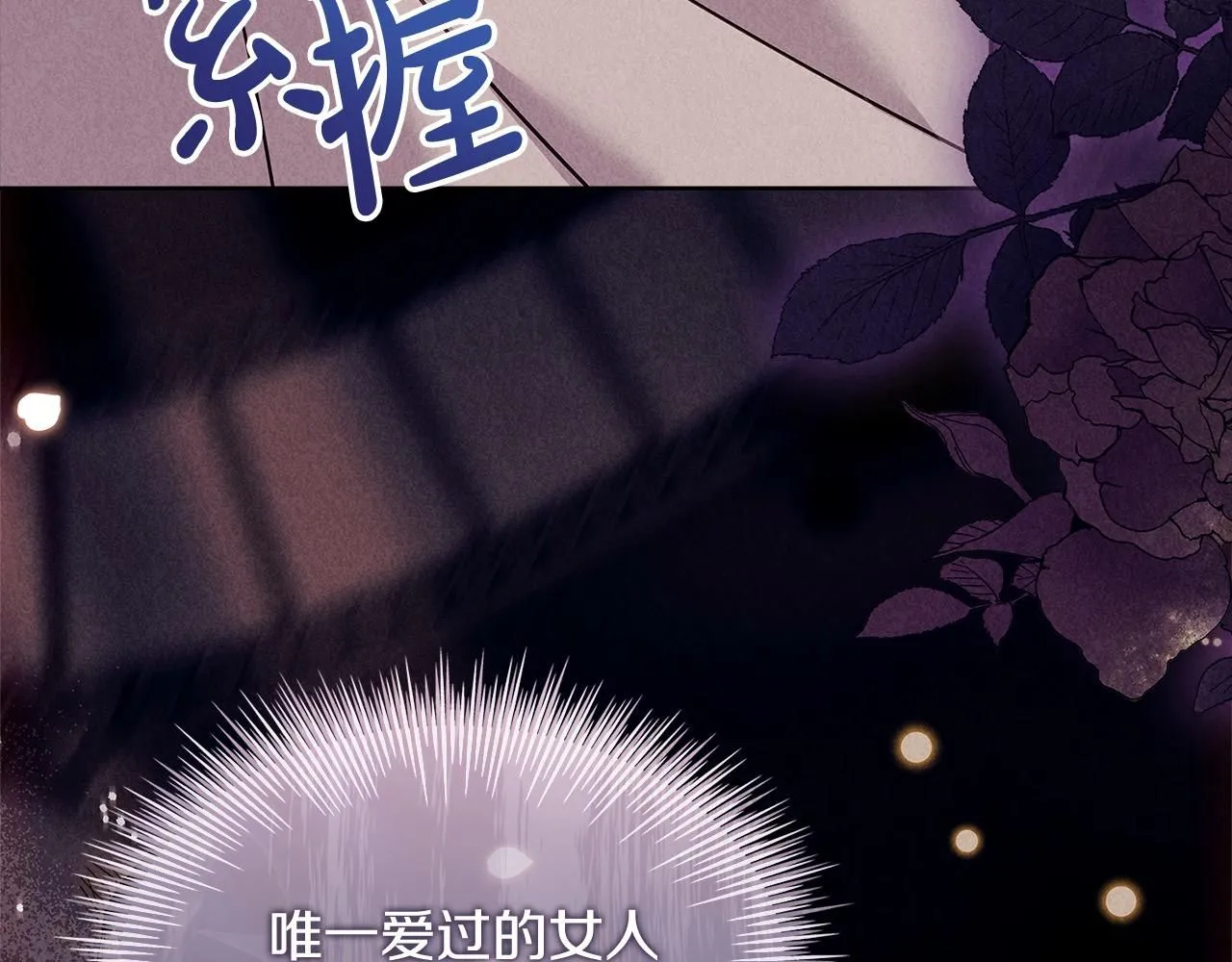 第97话 代理公王妃128