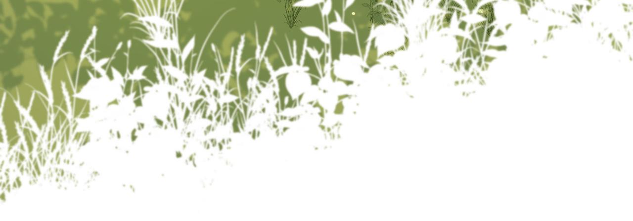 第87话 可怕的推测74
